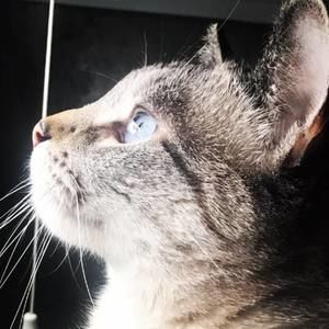 Meet your Posher, Meghan